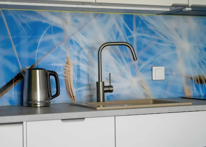 Colorful Rataje With Parking And Air Conditioning By Renters Apartment